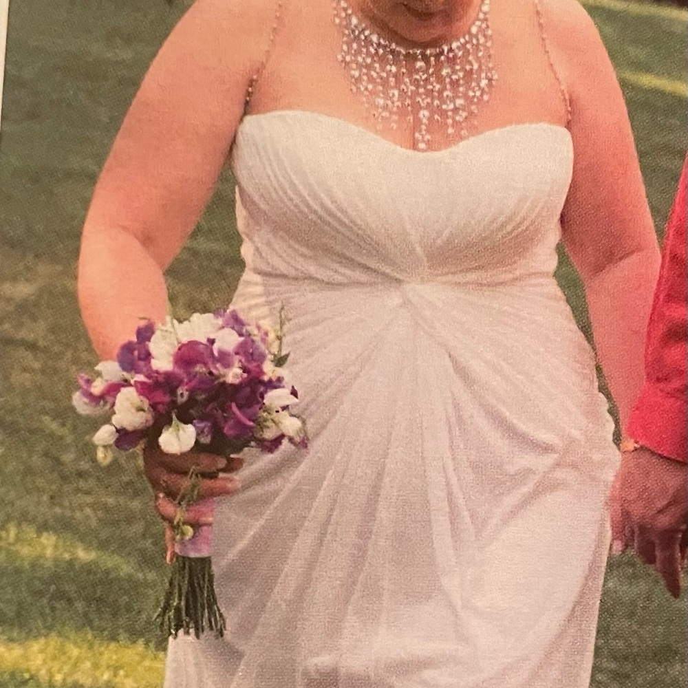 David’s Bridal wedding dress - Picture 5 of 6